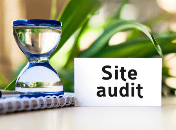 site audit