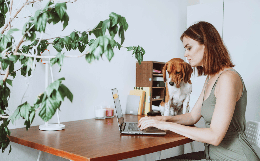 What is a content journey and why is it important? 1 a woman in a green dress writes on her laptop. she is sitting at a wooden desk with a floor plant overhanging. a dog, a beagle, sits on the desk looking at the screen.